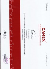 camex2007